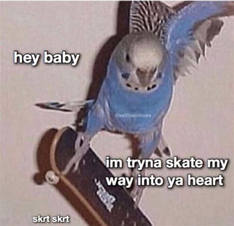 62 of the Best Flirty Memes To Send To Your Special Someone